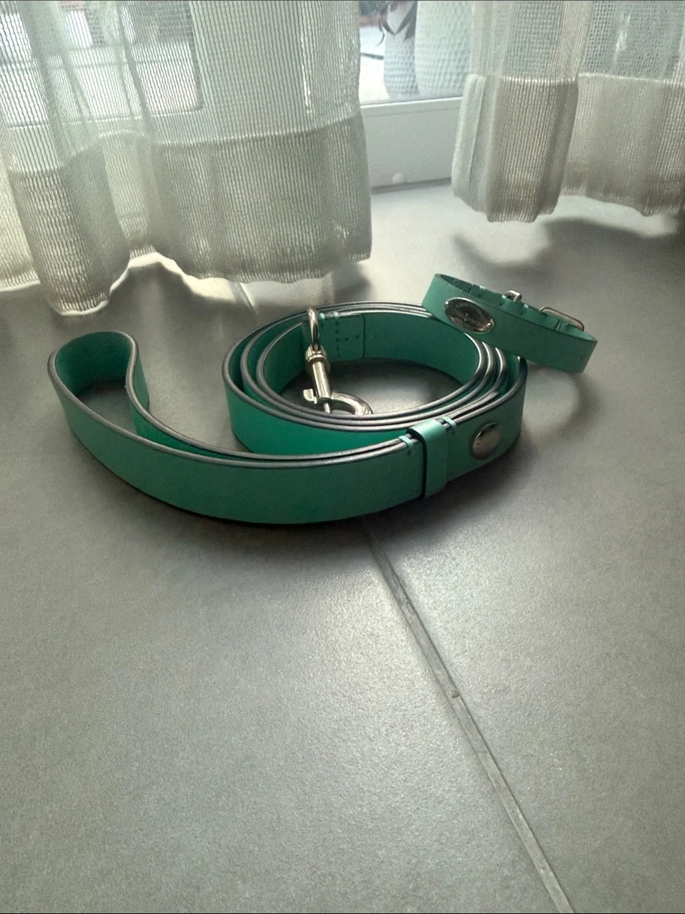Tiffany Leather Dog Leash and Collar Set. XS colar size.
